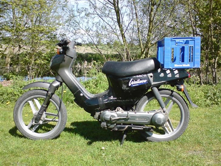 Honda Wallaroo billede 1