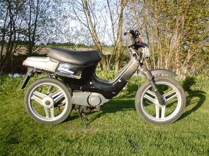 Honda Wallaroo billede 2