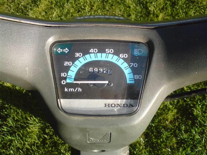 Honda Wallaroo billede 3