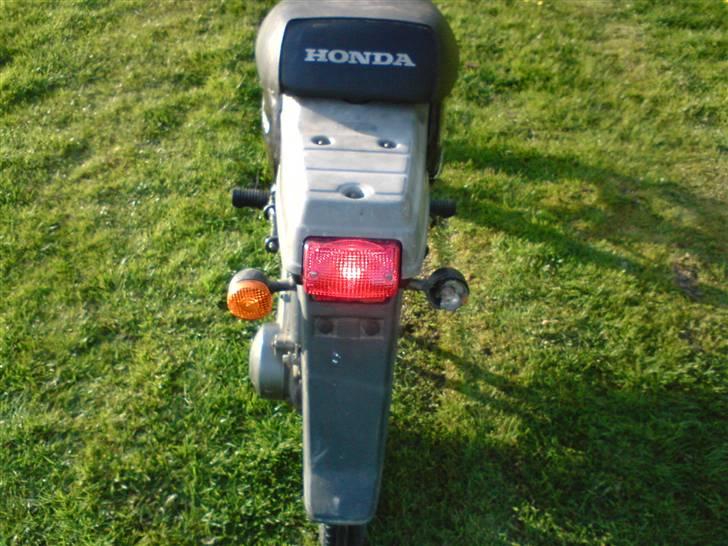 Honda Wallaroo billede 4