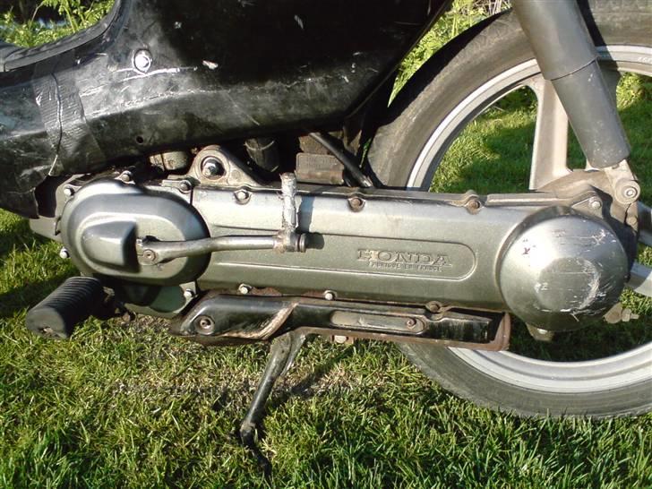 Honda Wallaroo billede 5