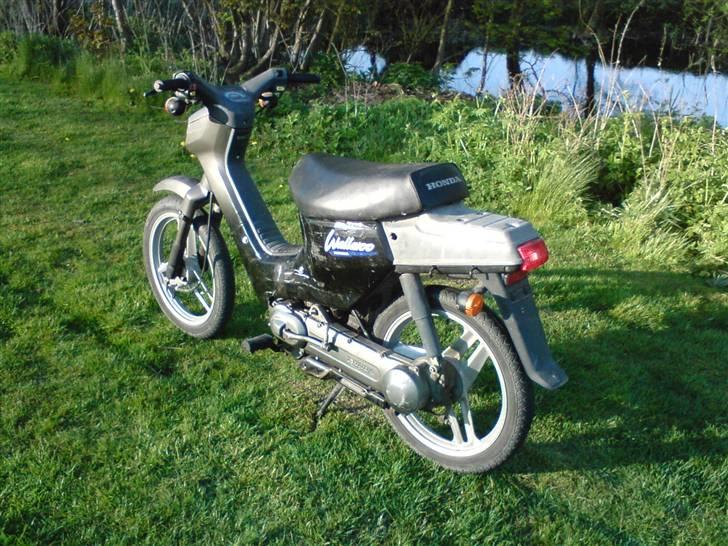 Honda Wallaroo billede 6