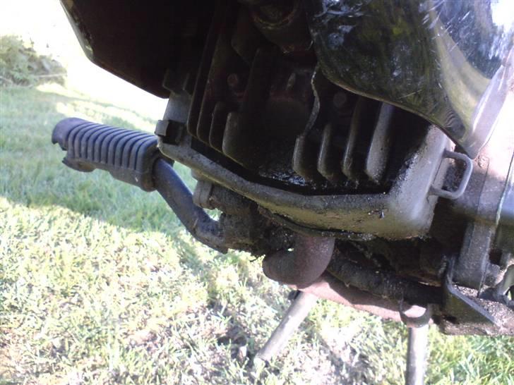 Honda Wallaroo billede 7
