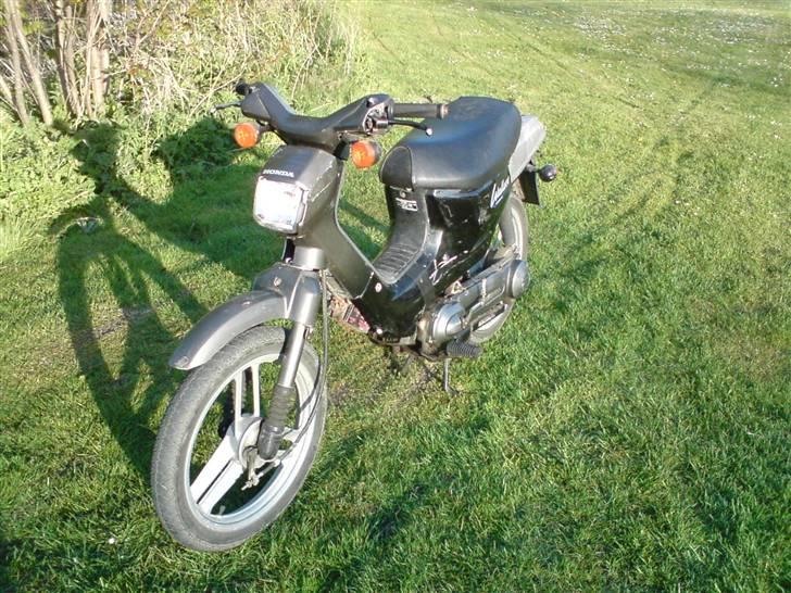 Honda Wallaroo billede 9