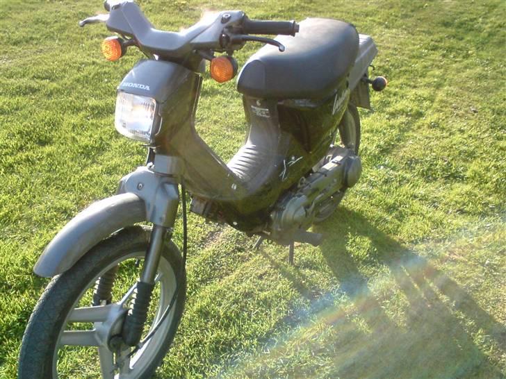 Honda Wallaroo billede 10