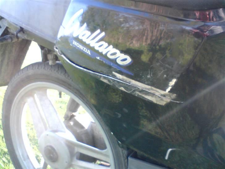 Honda Wallaroo billede 12