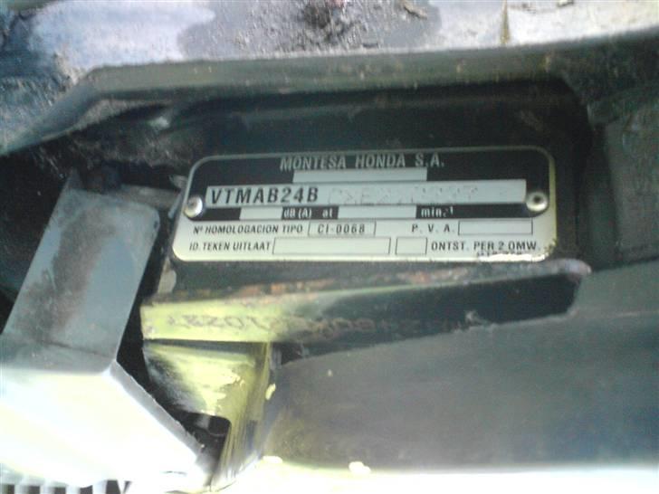 Honda Wallaroo billede 16
