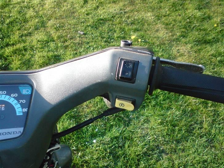 Honda Wallaroo billede 19