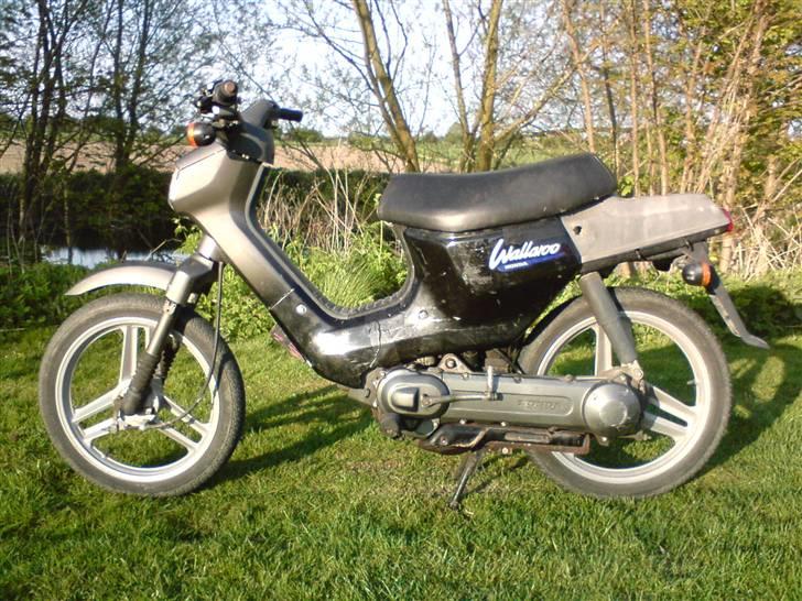 Honda Wallaroo billede 20