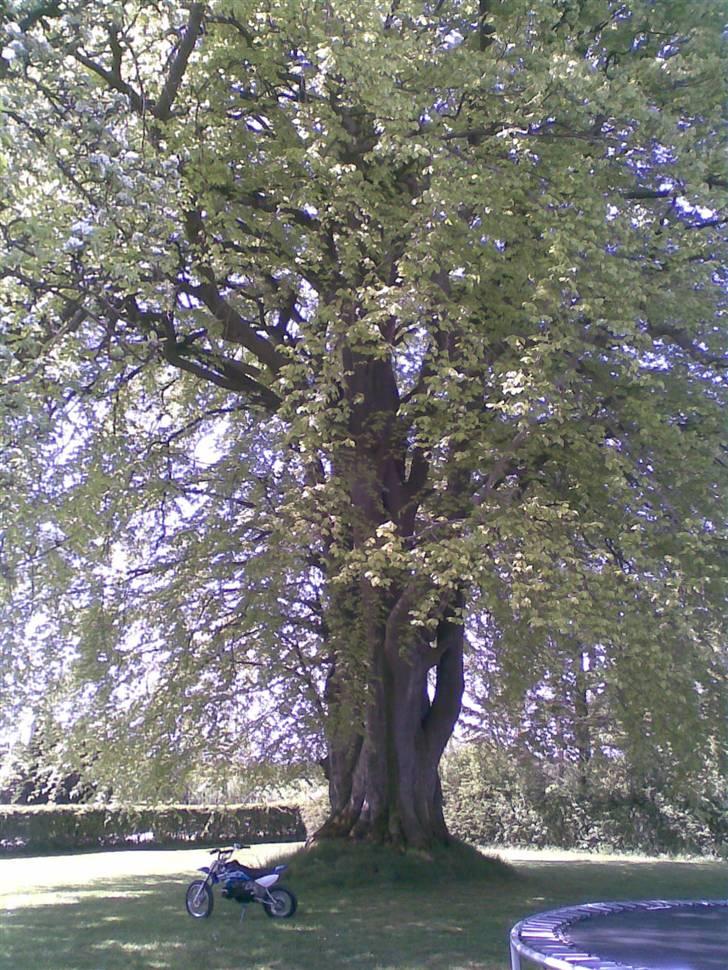 MiniBike crosser stjålet =( billede 12