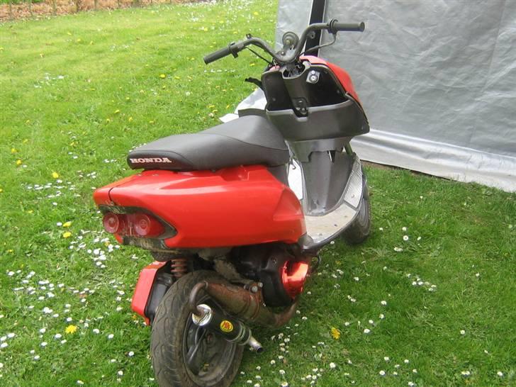 Honda SFX billede 2