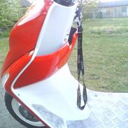 Honda SFX (SOLGT)