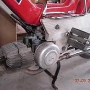 Puch maxi?