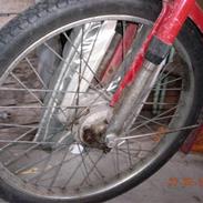 Puch maxi?