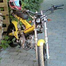 Sachs MadAss 100ccm