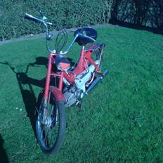 Puch Maxi P 100% orginal