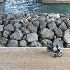 Piaggio Typhoon - SOLGT