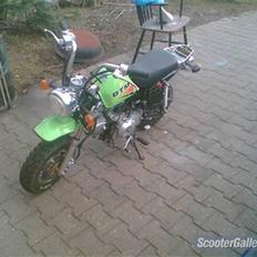 Baotian monkey (Solgt)