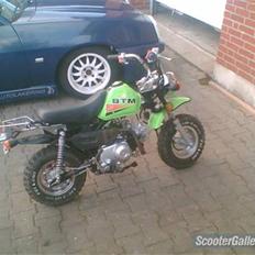 Baotian monkey (Solgt)