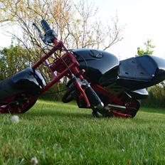 MiniBike [SOLGT]