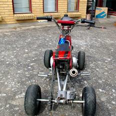 MiniBike Custom ATV Airbrush
