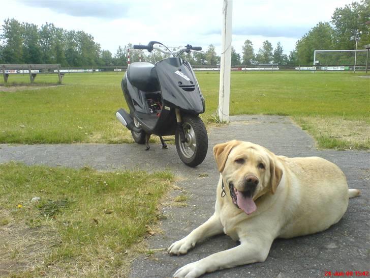 Yamaha Jog AS solgt billede 5