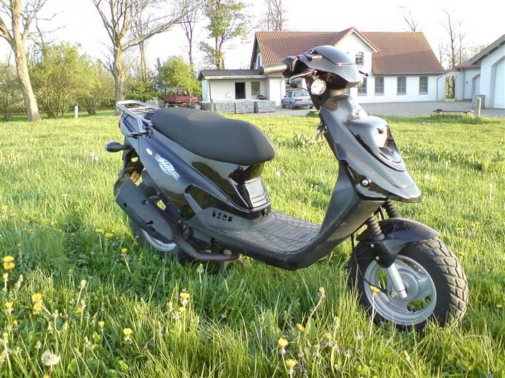 PGO Hot 50 "Verner" billede 1