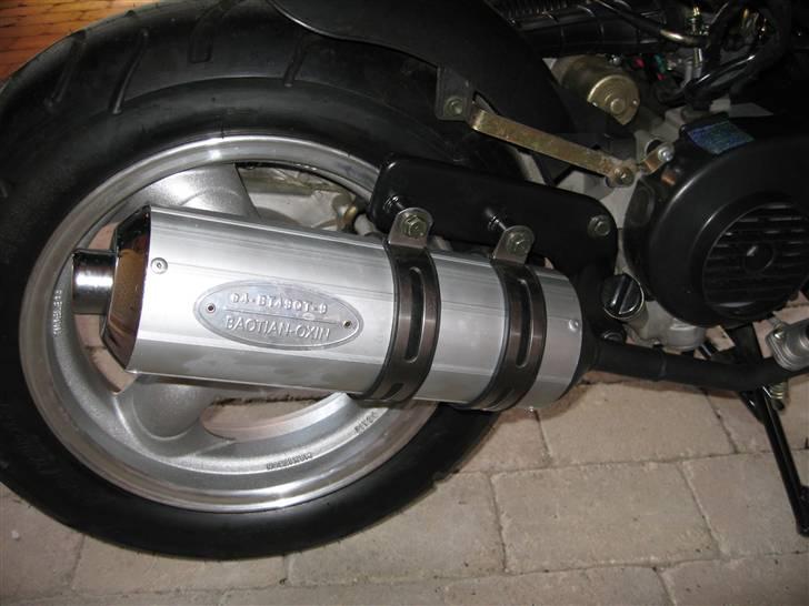 Baotian rebel billede 4