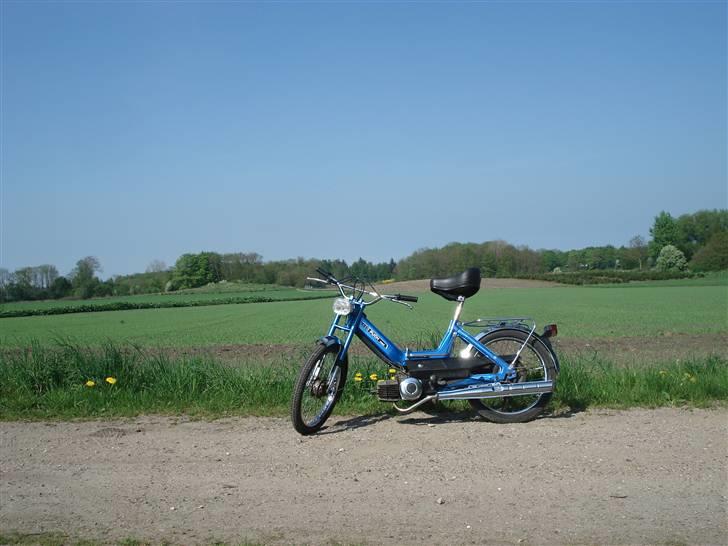 Puch Maxi k  (solgt for 3350) billede 11