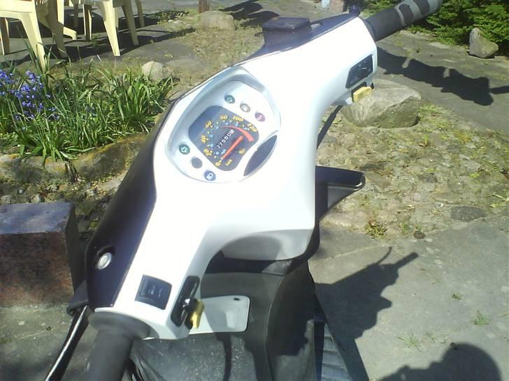 Suzuki Estilete o0 SOLGT 0o - 1/6-08 billede 4