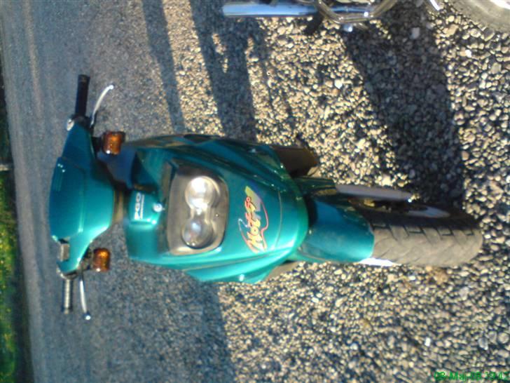 PGO Hot 50 billede 2