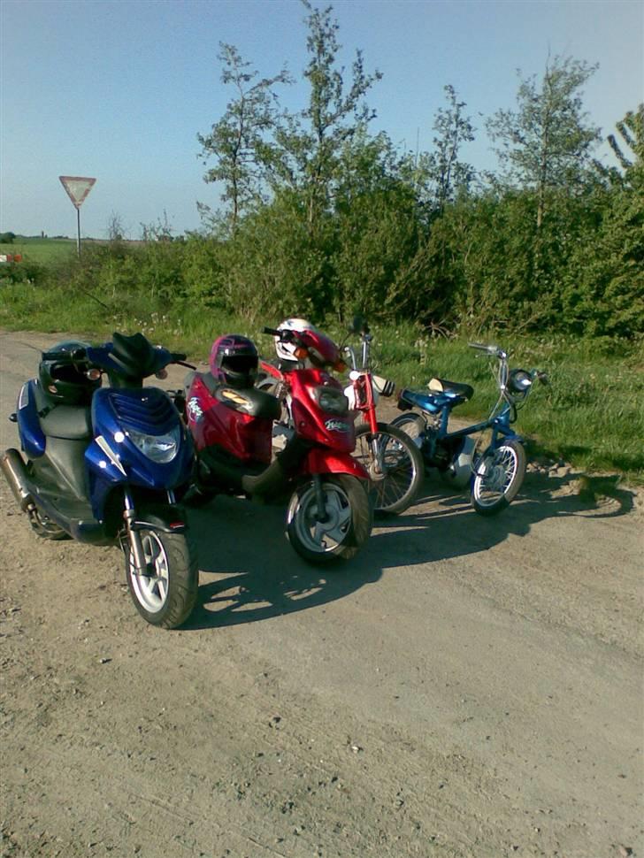 Honda Express SOLGT :( billede 3