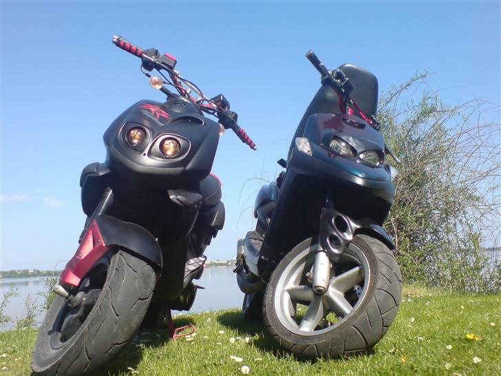 Peugeot TKR Furious * Xenon *  billede 16