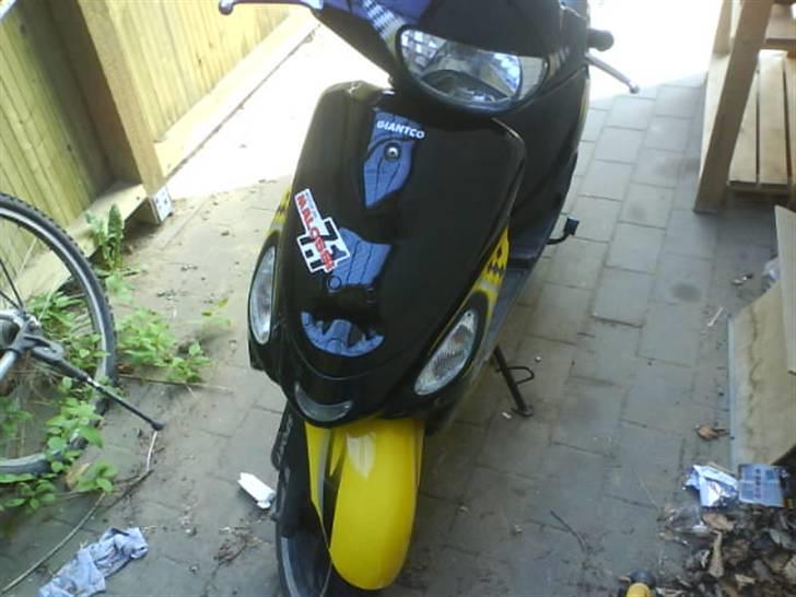 Giantco Sprint Sport billede 3