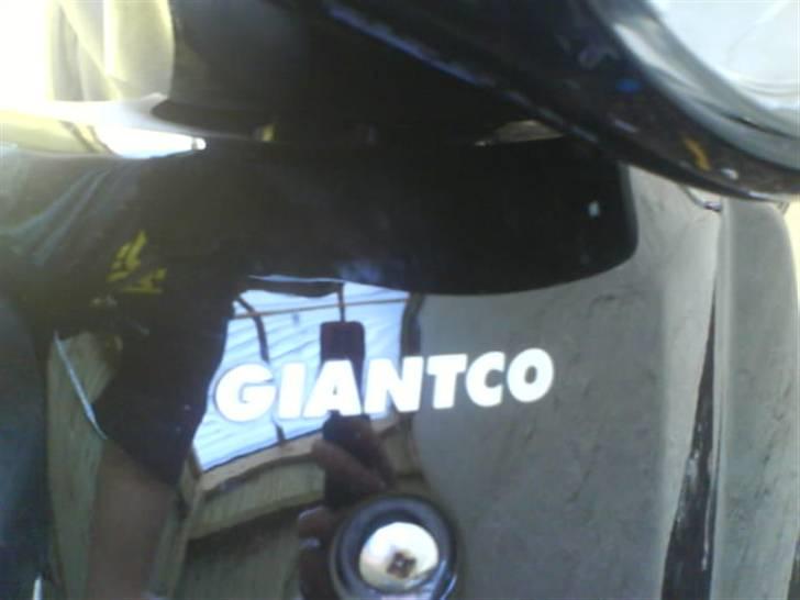 Giantco Sprint Sport billede 8