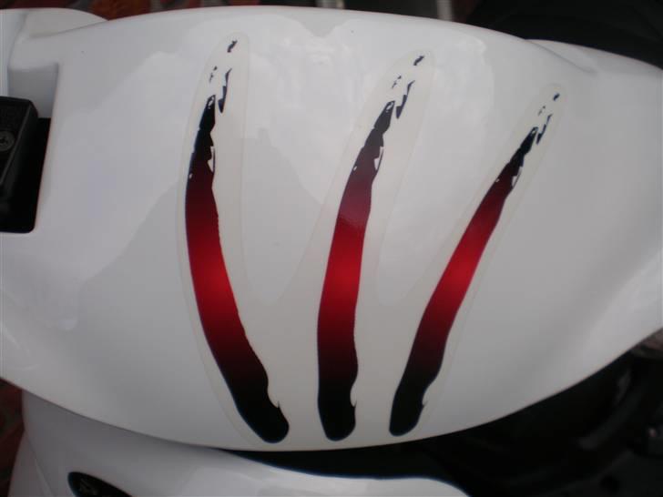 PGO Pmx No Fear - Min Pgo Pmx billede 4