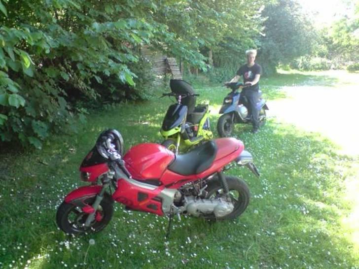 Gilera DNA bane (Solgt) billede 6