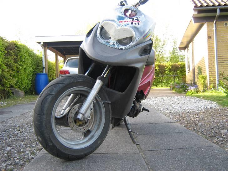 PGO Hot 50 / Bws TOTALSMADRET billede 1