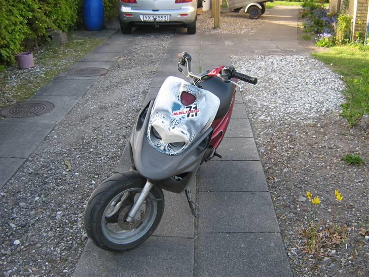 PGO Hot 50 / Bws TOTALSMADRET billede 2