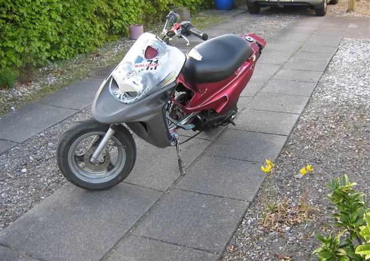 PGO Hot 50 / Bws TOTALSMADRET billede 5