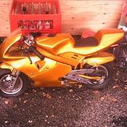 MiniBike Daytona ###SOLGT###