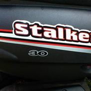 Gilera Stalker