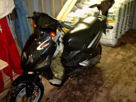 PGO PMX SPORT billede 1