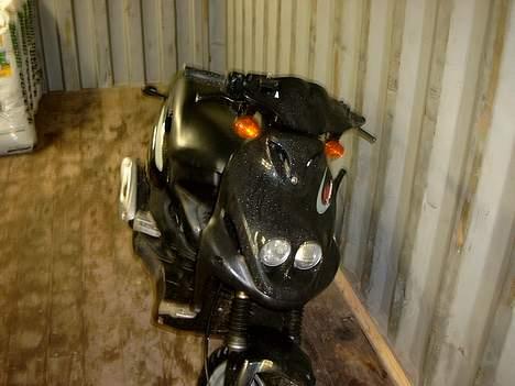 PGO PMX SPORT billede 2