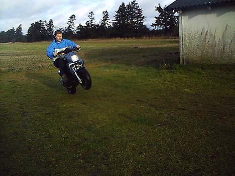 Yamaha slider solgt billede 10