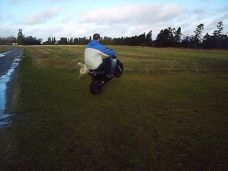 Yamaha slider solgt billede 9