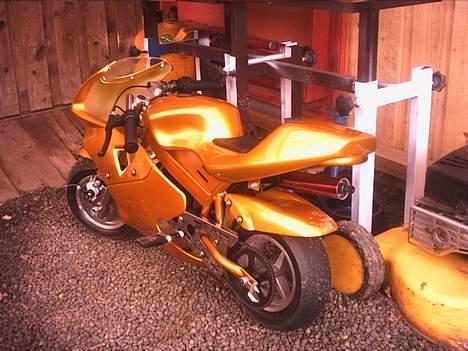 MiniBike Daytona ###SOLGT### billede 1