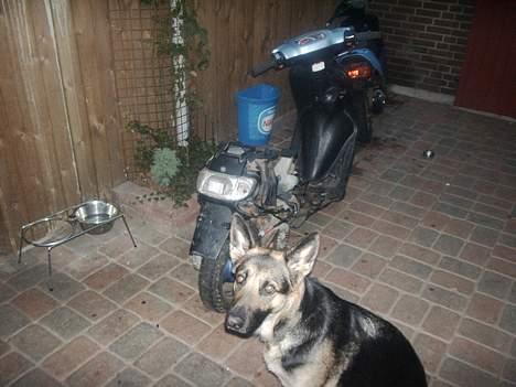 Yamaha Jog space billede 3