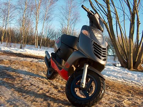 Aprilia Sonic Evo "TBV" (SOLGT) billede 6