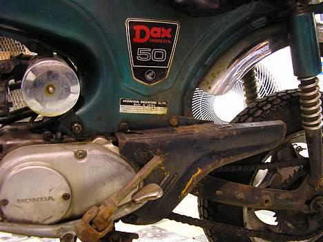 Honda Dax Projekt billede 2